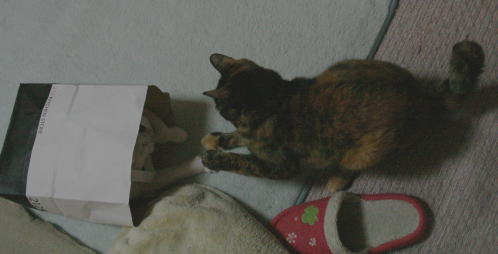 20100423袋入りメレンゲ&かのこ2