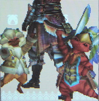20101209オトモ　レウスとティガ.jpg