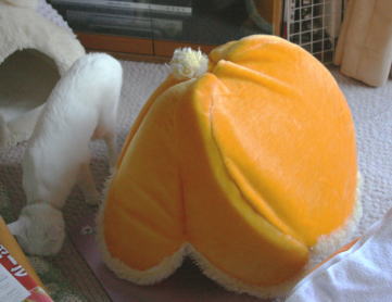 20091021お花ベッド 逆さま