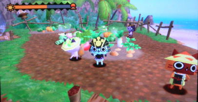 20100830ぽかぽかアイルー村30日目 畑