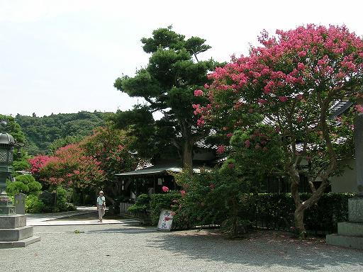 2010.08.13本覚寺