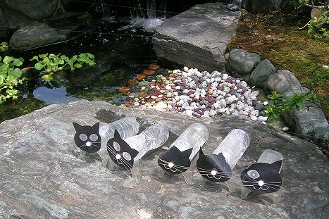 2010.08.13茶寮いの上の池