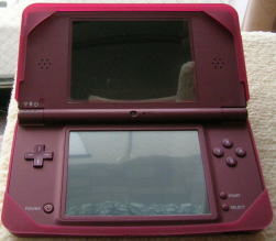 20100911 DSiLL 2.jpg