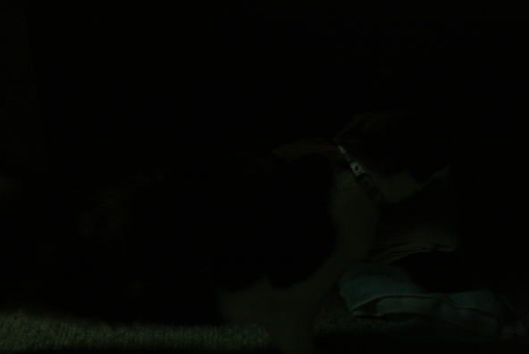 20070721カラー調整前