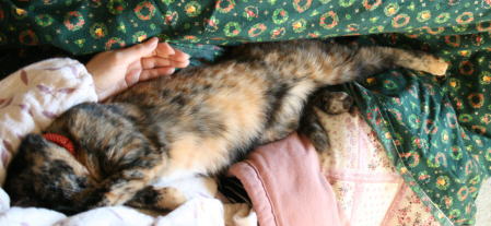 20071231かのこ　のびのび