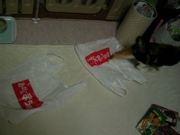 20060915スーパーの袋2