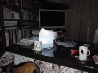 20110325停電中２.jpg