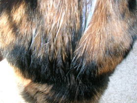 20061125背中が濡れている（拡大）