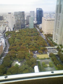20111015パークハイアットAF.T　01眺望.jpg