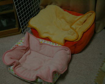 20071113猫ソファ