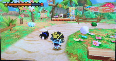 20100830ぽかぽかアイルー村30日目　プーギーパーク１