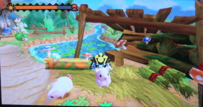 20100830ぽかぽかアイルー村30日目　プーギーパーク２