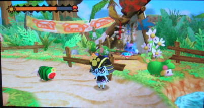 20100830ぽかぽかアイルー村30日目　プーギーパーク占い師