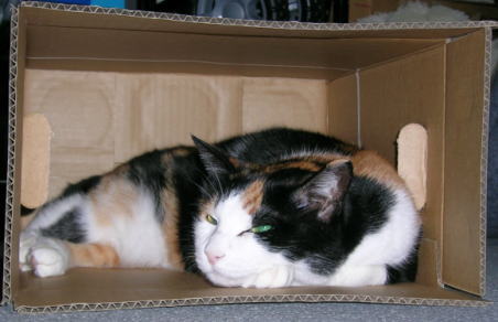 20070914続箱入り娘２