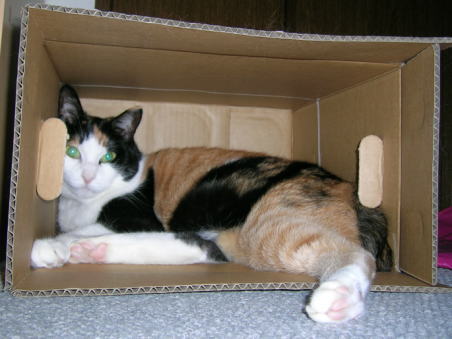 20070914続箱入り娘３