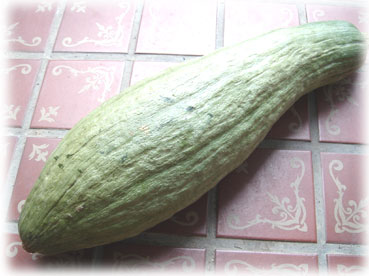 6.18kabocha.jpg