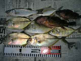 不思議な組あわせ