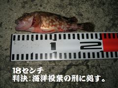 キサマは海に帰れ！