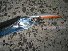 拾ったルアーでＧＥＴ。