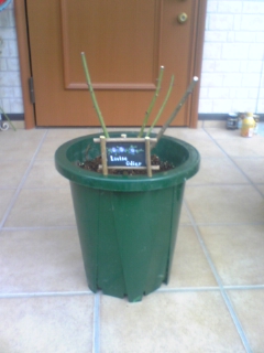 080110_070551.jpg