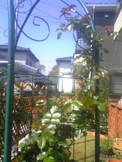 080406_093018.jpg