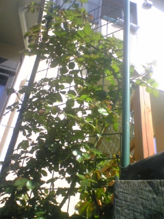 080406_091411.jpg