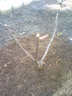 080109_111758.jpg