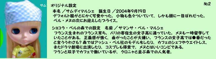 サム改