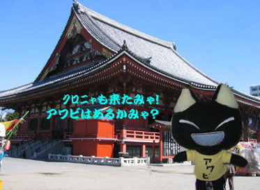 浅草寺だみゃ