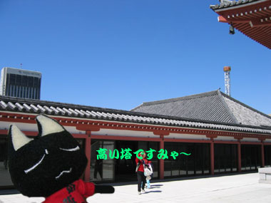 塔を見上げるクロニャ