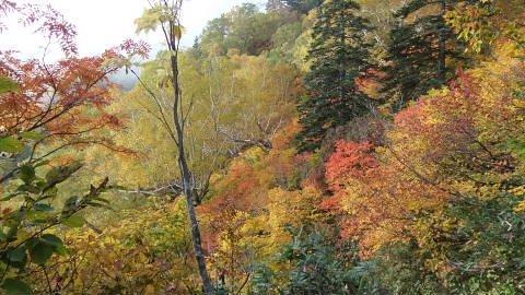 十二曲辺りの紅葉