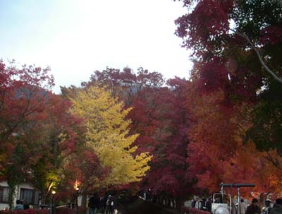 河口湖
