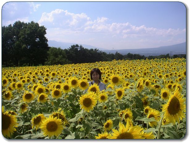 山梨の旅