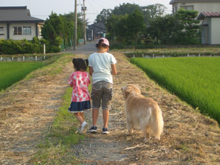 2006-08-02 お嬢さんたち