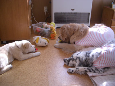 2007-02-21 楽しくカミカミ♪