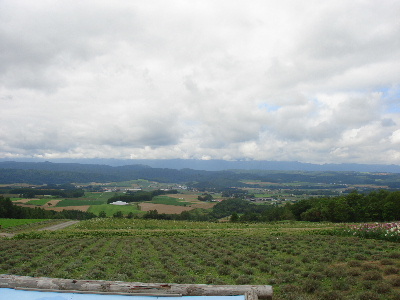 2007.8.18 北海道旅行 富良野 麓郷の森