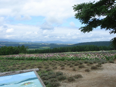 2007.8.18 北海道旅行 富良野 麓郷の森-2