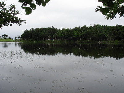 2007.8月　北海道旅行　知床　知床５湖の１つ