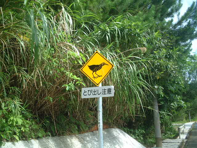 沖縄ツー 018.jpg