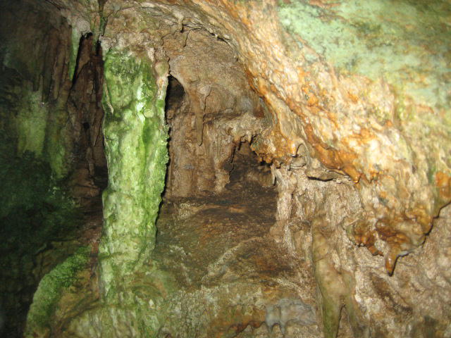 IMG_5354.JPG