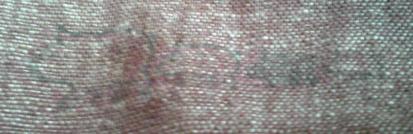 ママパンツポケット２