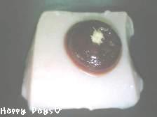 【笹乃雪】胡麻豆富