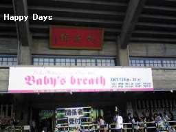 「SEIKO MATSUDA CONCERT TOUR 2007 Baby's breath 」