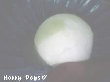 【笹乃雪】豆富のアイスクリーム