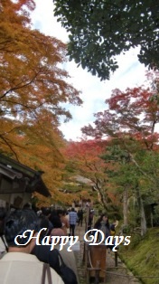 2010.11.20京都嵐山(7)
