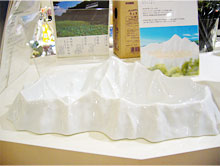 「Tokyo's Tokyo」で撮影した共栄デザイン　topography plateの画像１