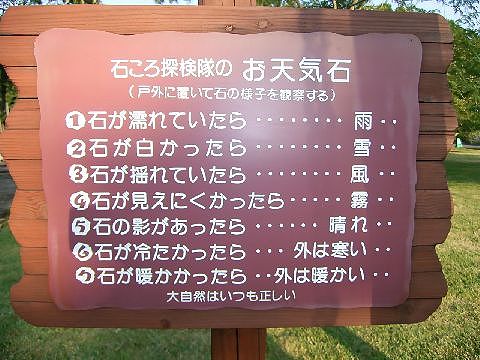 大自然はいつも正しい