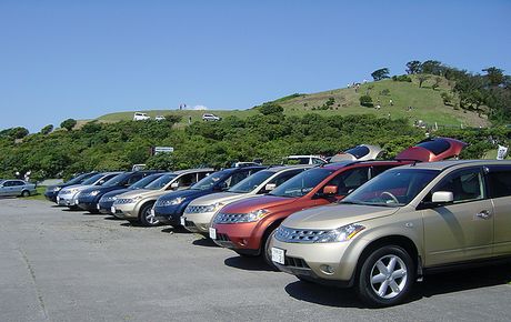 秋晴れの山羊さん