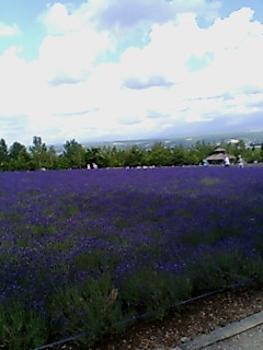 t_20060713Furano03