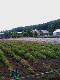 t_20060713Furano02